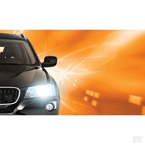 GL85409VIC1 Žarulja Xenon D1R Vision