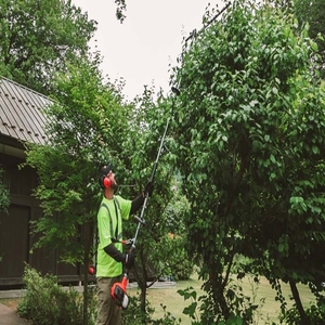 Mta-Ah-Hd Škare za živicu-Duga osovina